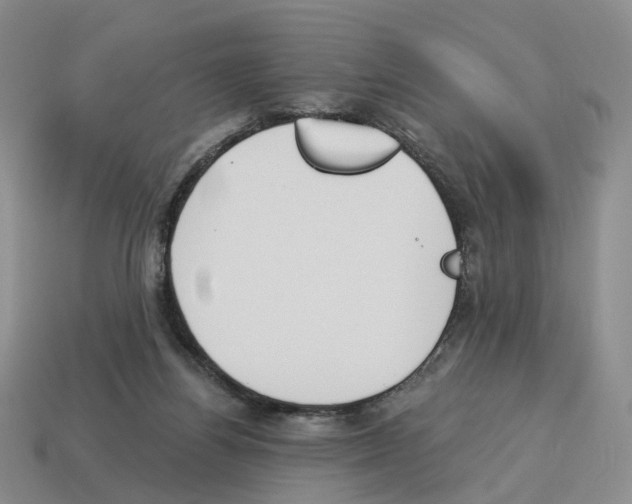 X0000114240164200911061555