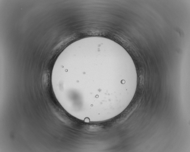 X0000114240165200911061555