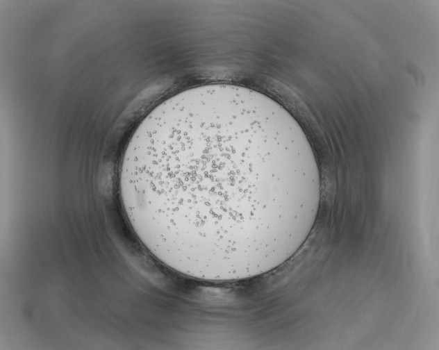 X0000114240167200911061555