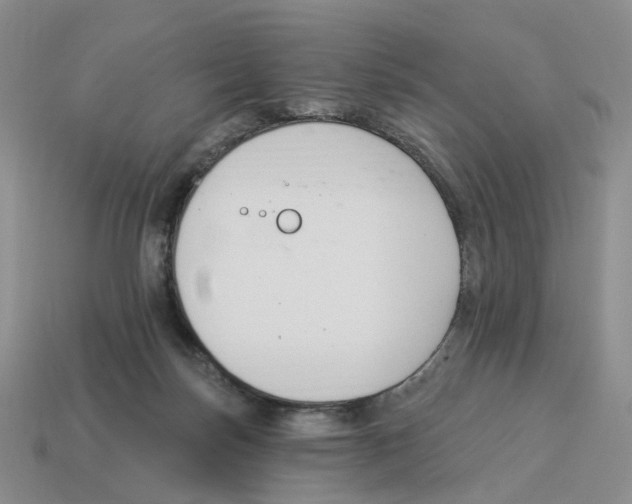 X0000114240171200911061555