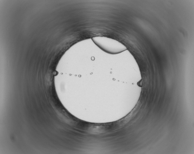 X0000114240174200911061556