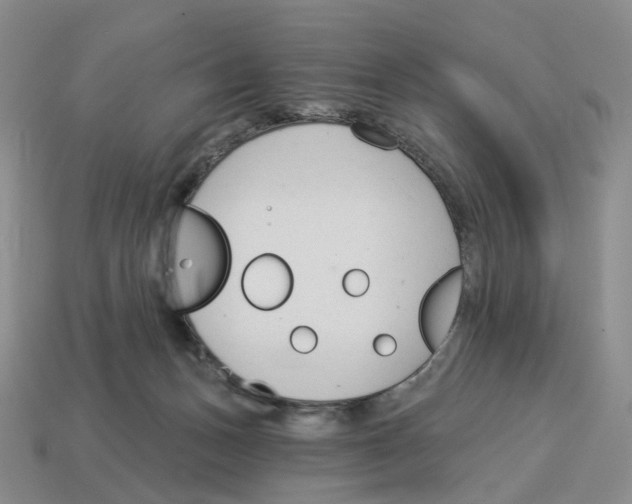 X0000114240175200911061556