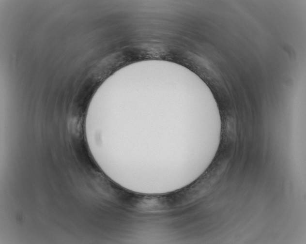 X0000114240177200911061556