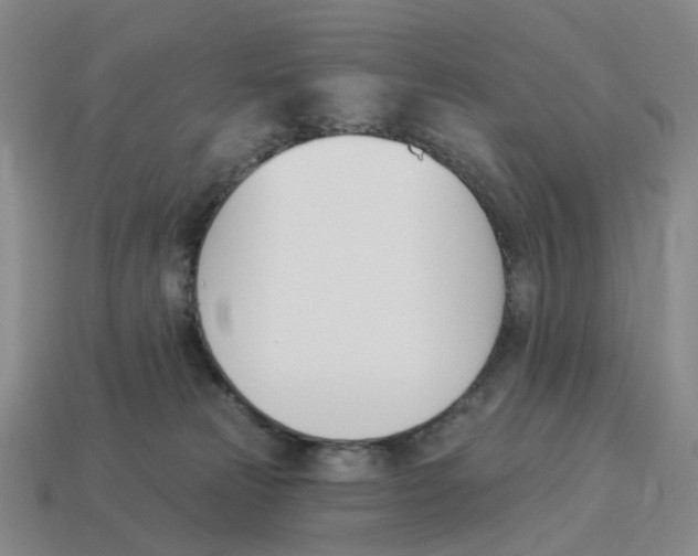 X0000114240181200911061556