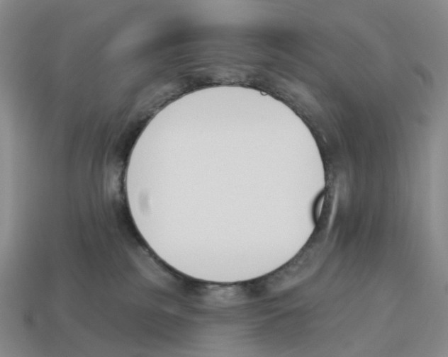 X0000114240185200911061556