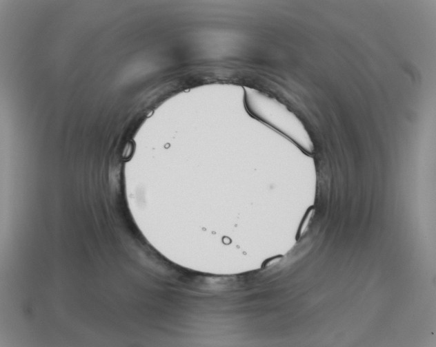 X0000114240188200911061556