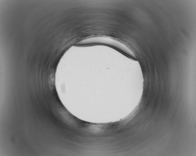 X0000114240190200911061556