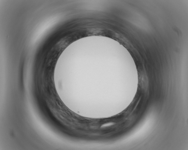 X0000114240191200911061556