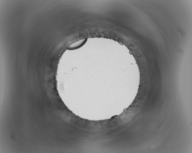 X0000114240192200911061556