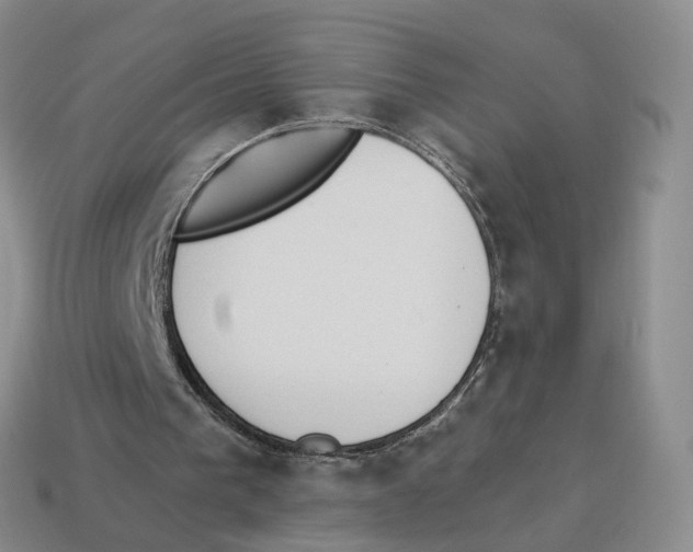 X0000114240193200911061555