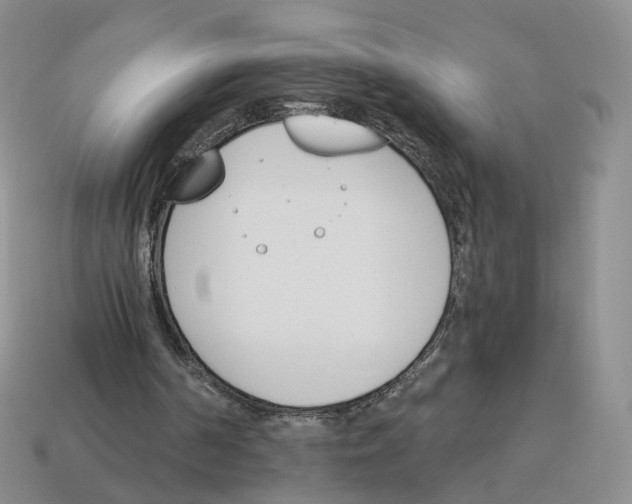 X0000114240194200911061555