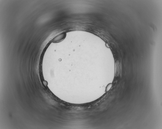 X0000114240195200911061555