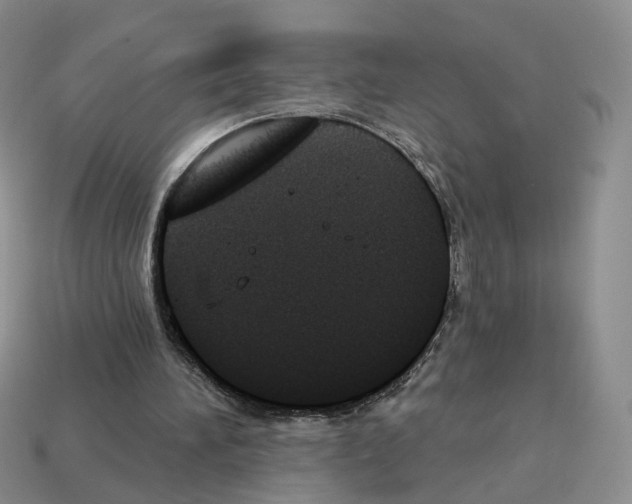 X0000114240196200911061555