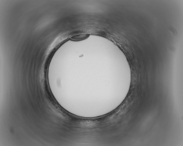 X0000114240198200911061555