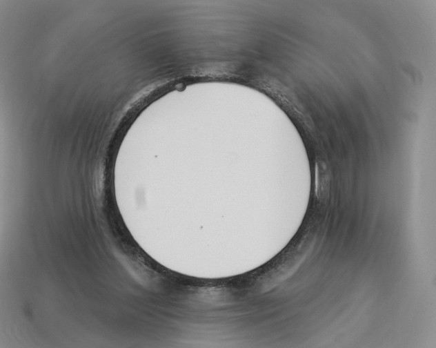 X0000114240204200911061555