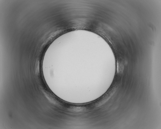 X0000114240205200911061555