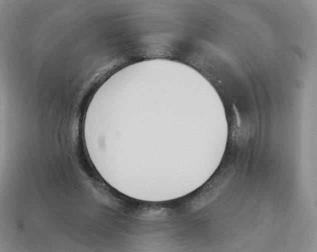 X0000114240206200911061555