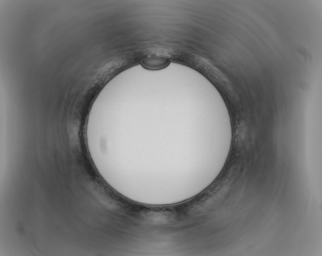 X0000114240209200911061555