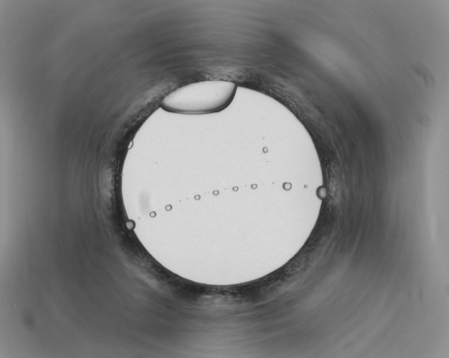 X0000114240211200911061555