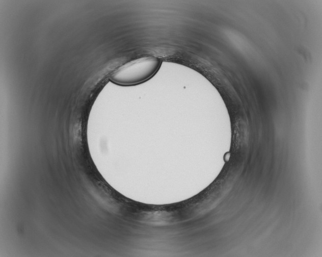 X0000114240212200911061555