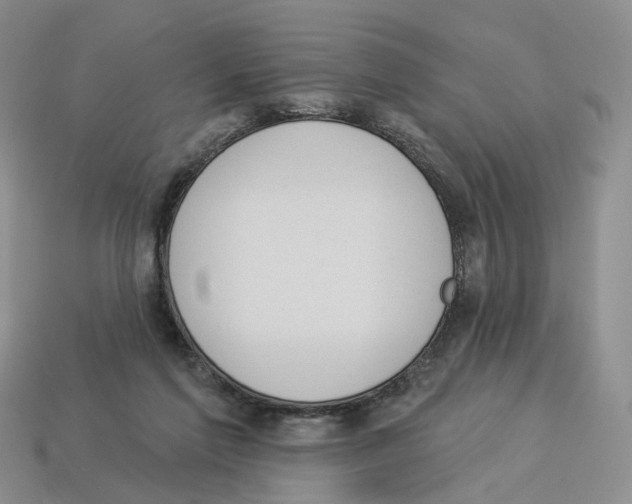 X0000114240213200911061555