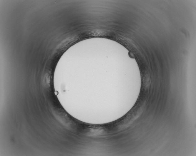 X0000114240214200911061555