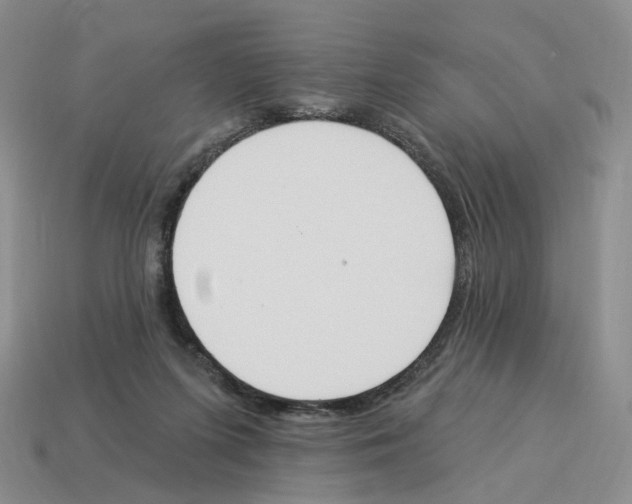 X0000114240215200911061555