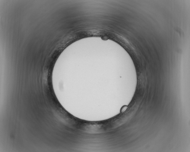 X0000114240217200911061555