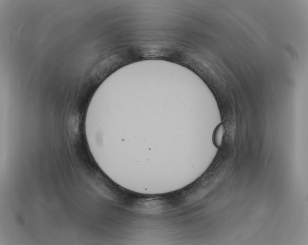 X0000114240219200911061555