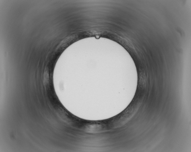 X0000114240220200911061555