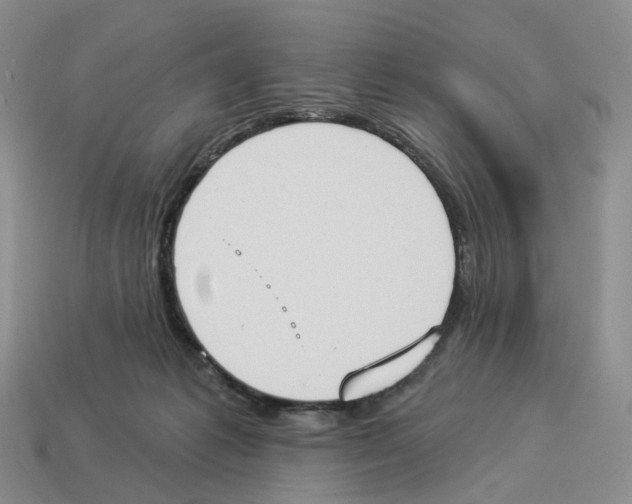 X0000114240221200911061555