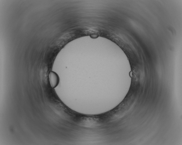 X0000114240223200911061555