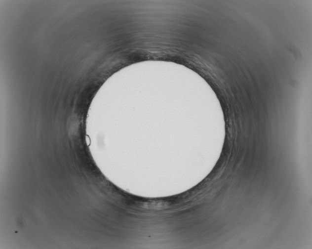 X0000114240225200911061555