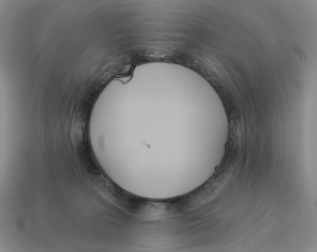 X0000114240227200911061555