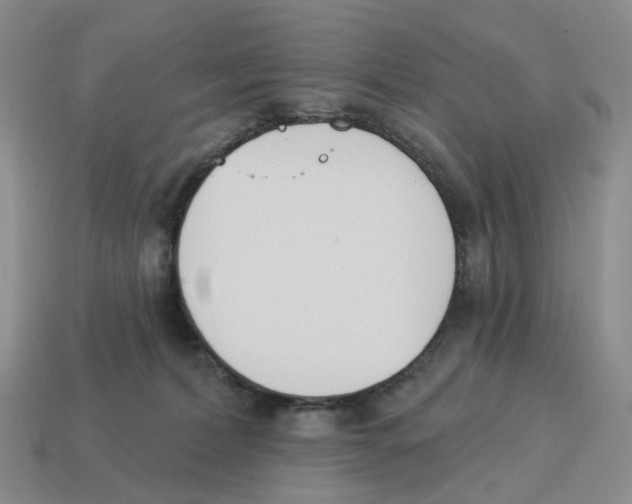 X0000114240228200911061555