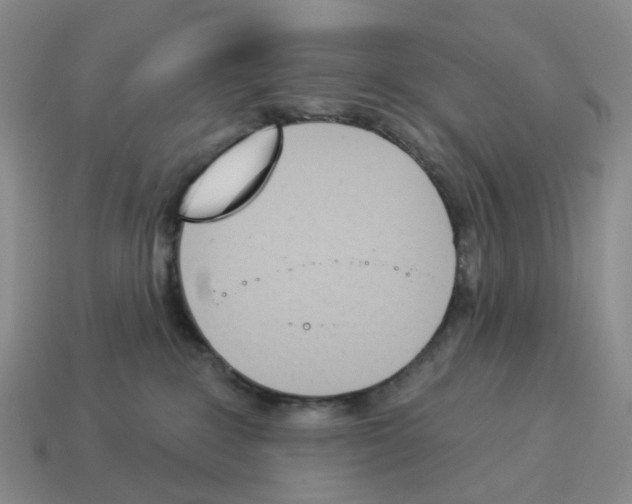 X0000114240235200911061554