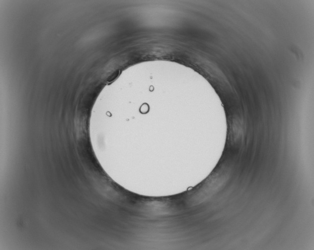 X0000114240236200911061554