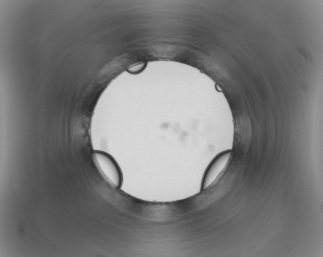 X0000114240237200911061554