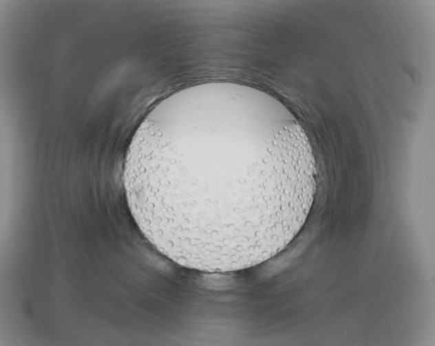 X0000114240240200911061554