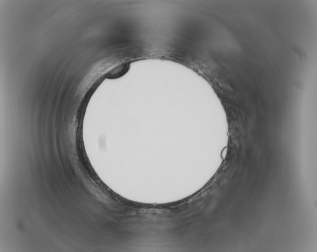 X0000114240242200911061554