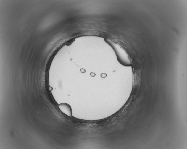 X0000114240243200911061554