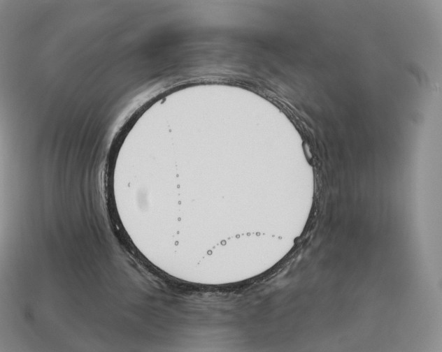 X0000114240244200911061554