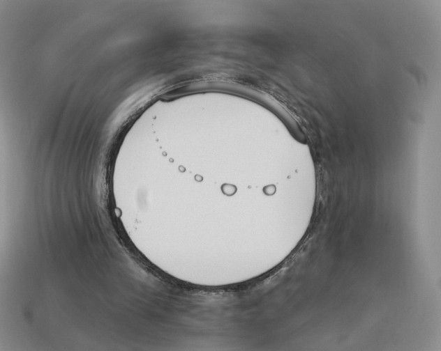 X0000114240245200911061554