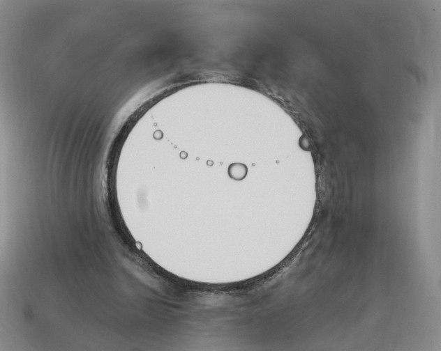 X0000114240246200911061554