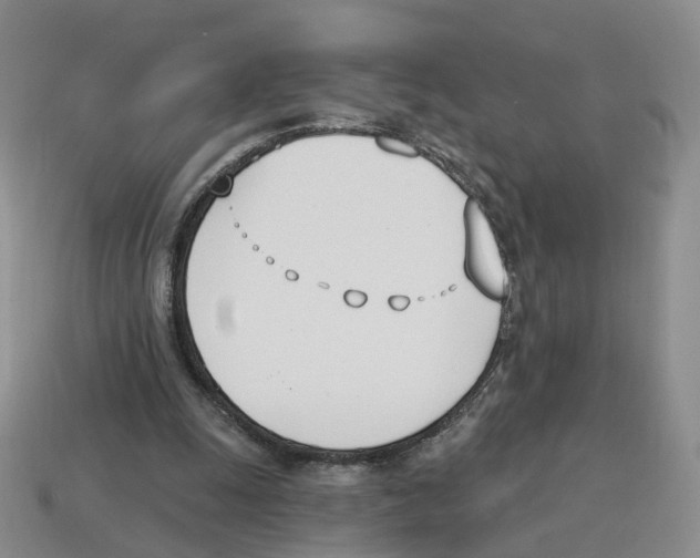 X0000114240247200911061554