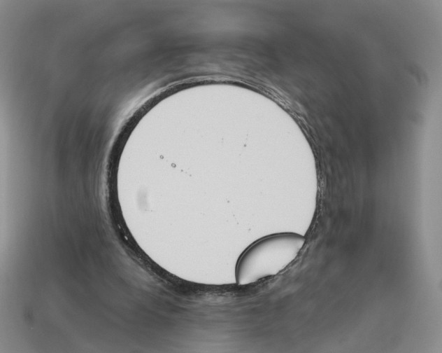 X0000114240248200911061554