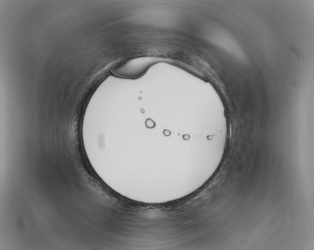 X0000114240249200911061554