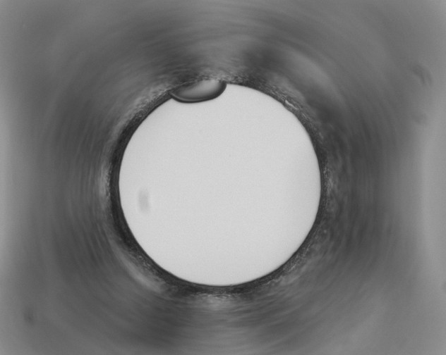 X0000114240250200911061554