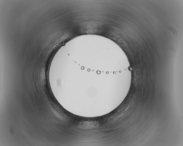 X0000114240251200911061554