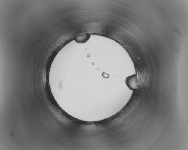 X0000114240253200911061554